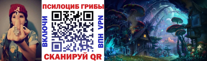 Псилоцибиновые грибы мицелий  Александровск-Сахалинский 